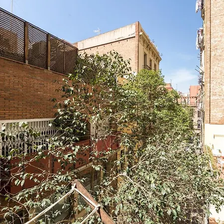 Apartment Unique Corsega