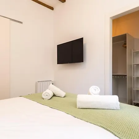 Unique Corsega Apartment